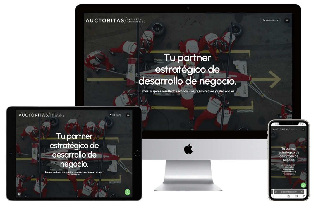 business development por Auctoritas Business Consulting Diseño web para business development
